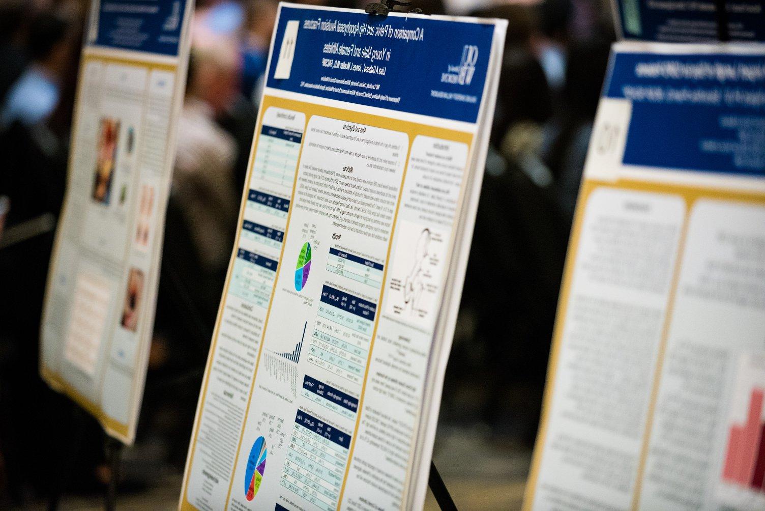 An image of posters from a past Embark Capstone Colloquium. 